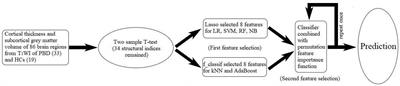 Machine learning algorithm performance evaluation in structural magnetic resonance imaging-based classification of pediatric bipolar disorders type I patients